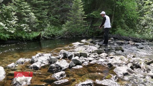 Rapala | Trout Fishing (How to catch) / Rapala | Lov Pstruhov (Ako sa má chytať) смотреть онлайн