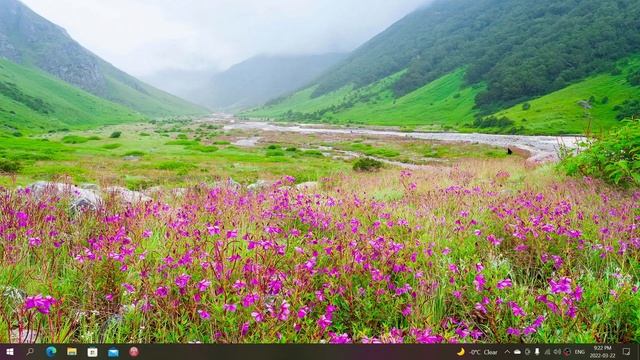 Windows 10 cumulative update with bug fixes released смотреть онлайн