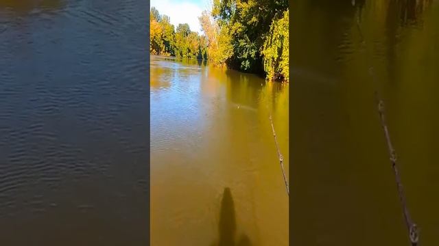 Рыбалка на сома, на лягушку. смотреть онлайн