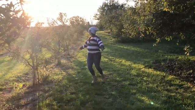 How bout' them apples смотреть онлайн