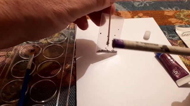 Apple of Peru - make simple plantable pencil gifts. смотреть онлайн