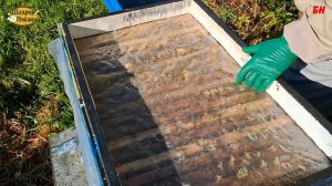 пчеловодство, пчелы заливают рамки работы в улье лежаке