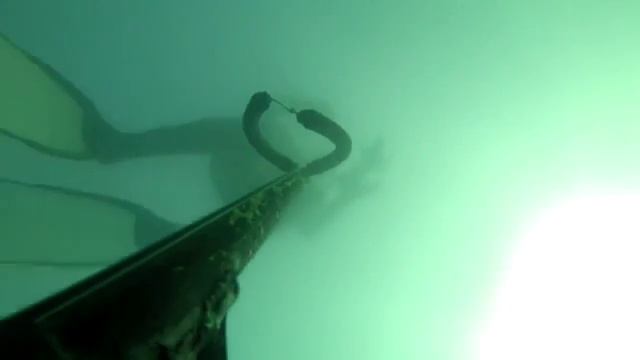 ПОдводная охота смотреть онлайн