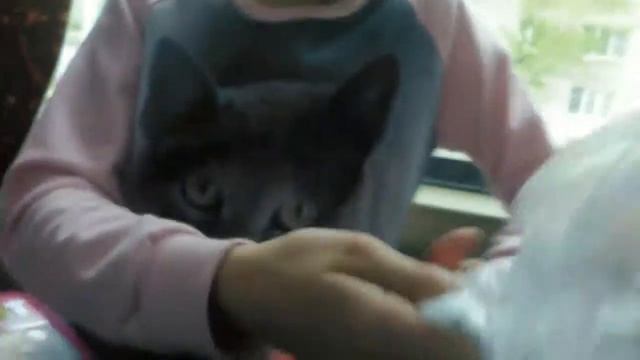 Мы едем на экскурсию