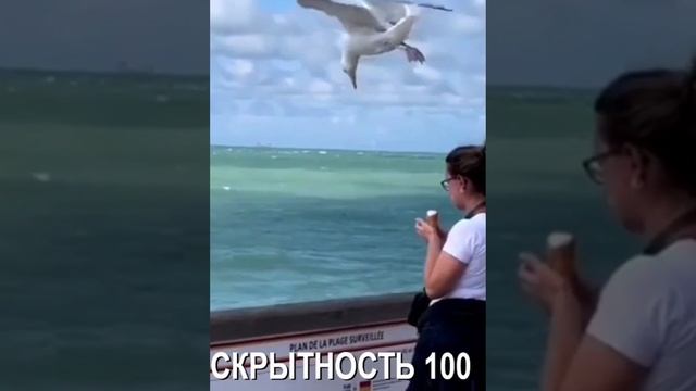 скрытность смотреть онлайн