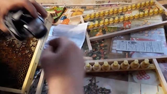 Вывод маток . Перенос личинок . смотреть онлайн