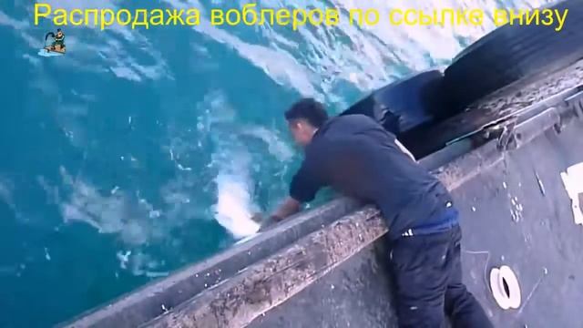 Раттлин на окуня смотреть онлайн