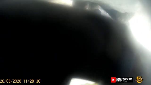 STRIKE SENANGIN DALAM DUA KALI CAST (MANCING KETIKA PKPB) 26052020 смотреть онлайн