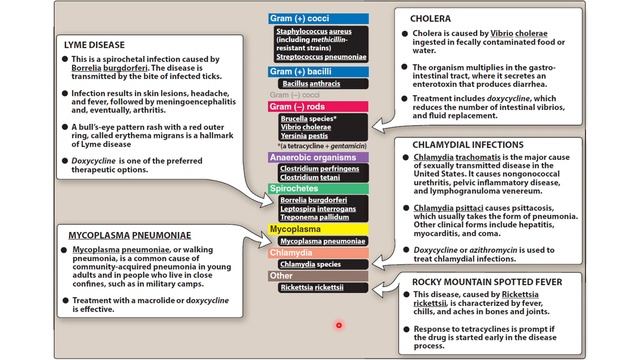 38 Protein Synthesis Inhibitors смотреть онлайн
