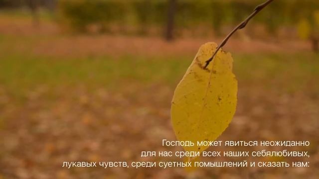 27 июня. День за днём. Читает Виктор Золотоног смотреть онлайн