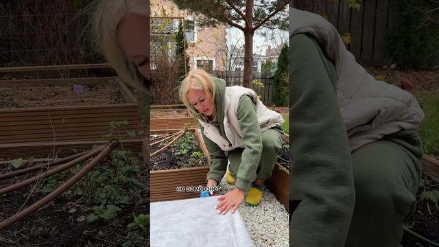 Укрываем клубнику и землянику на зиму. Пора! смотреть онлайн