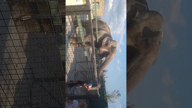 Продолжение экскурсии смотреть онлайн
