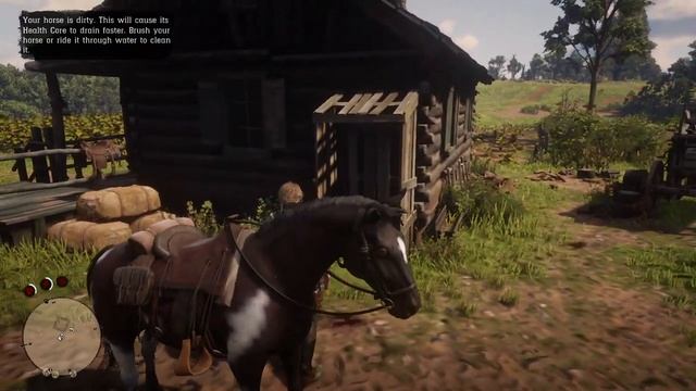 Red Dead Redemption 2 MX 250 смотреть онлайн