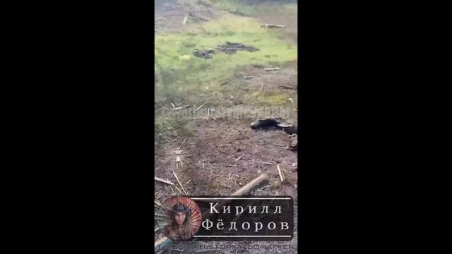 ⚡️СВО 18+ Восьмёрка ВСУшников из с.Ольговка Курской области смотреть онлайн