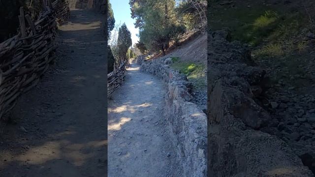 это шикарно в марте- тропа Голицина, куда пойти, что нужно чтобы пойти...