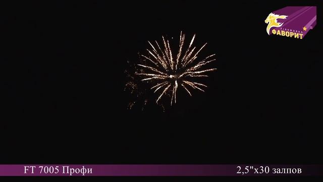 Батарея салютов 'Профи' FT 7005 смотреть онлайн