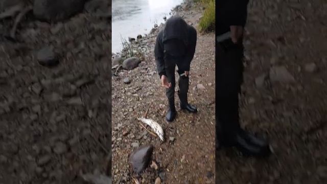 Martin в Тарту поймал первую щуку смотреть онлайн