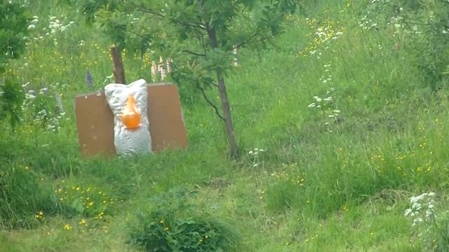 Стрельба из блочного лука на неизвестную дистанцию смотреть онлайн