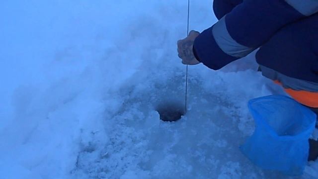 рыбалка 17 02 2023