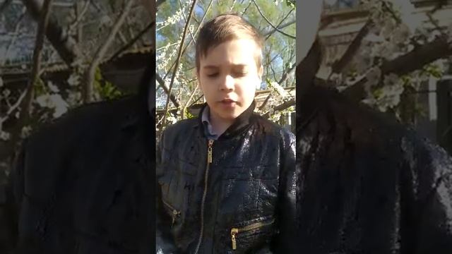 VID 20200408 WA0031 смотреть онлайн