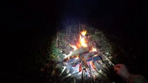 Охота на утку.Октябрь охота на северную утку.Морская чернеть!