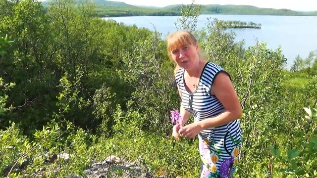 Поездка на Кольский Ч.3.( дорога на Териберку) смотреть онлайн
