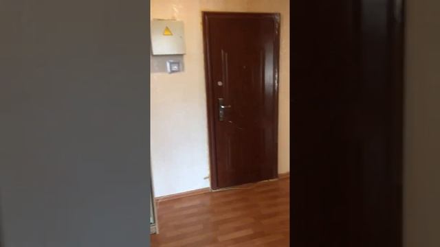 Санкт Петербург Богатырский проспект лом 36 кор 1 смотреть онлайн