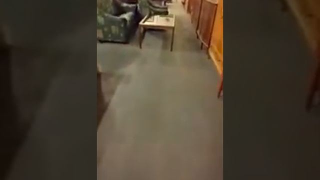 Барахолка Швеций. смотреть онлайн