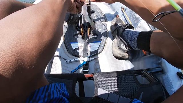 This Fishing Lure Is A Bass Magnet