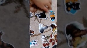 у кого ещё котывоительнянка?