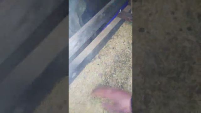 45 Свиней. Первый вариант был не удачным.