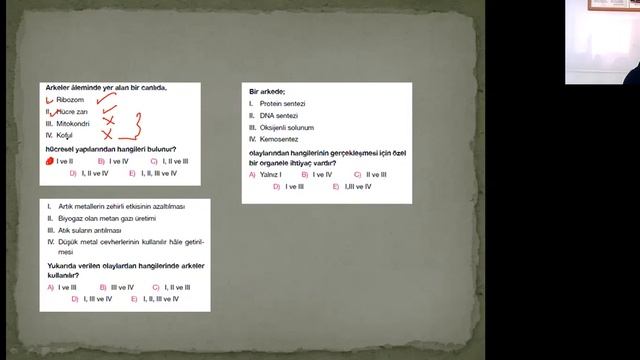 9. Sınıf Biyoloji - Hayvanlar Alemi ( Omurgasızlar Soru Çözümü II ) смотреть онлайн