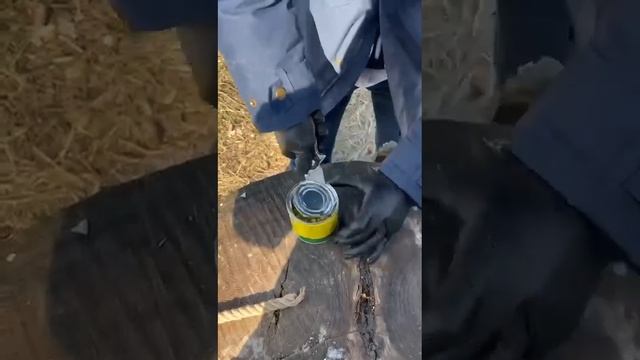 7 апреля 2023 г.