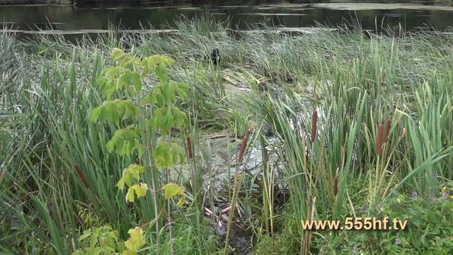 Осенние путешествия подводника часть 2 смотреть онлайн