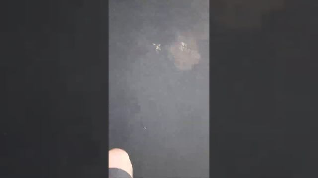 My trampoline broke my window смотреть онлайн