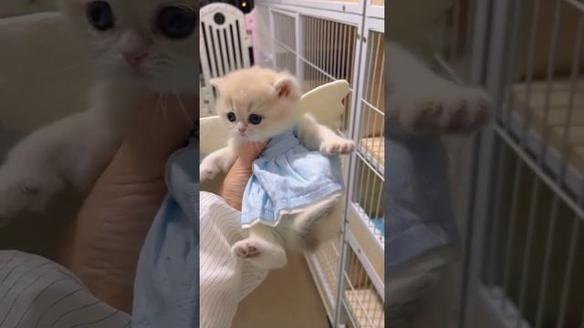 a00396398b34e617ed18c7ddca95e944.mp4 смотреть онлайн