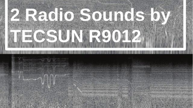 Random Mixture of 2 Radio Sounds by TECSUN R9012 [2020-11-07 11:11] смотреть онлайн