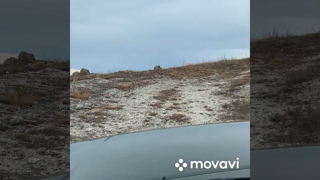 Дністер смотреть онлайн