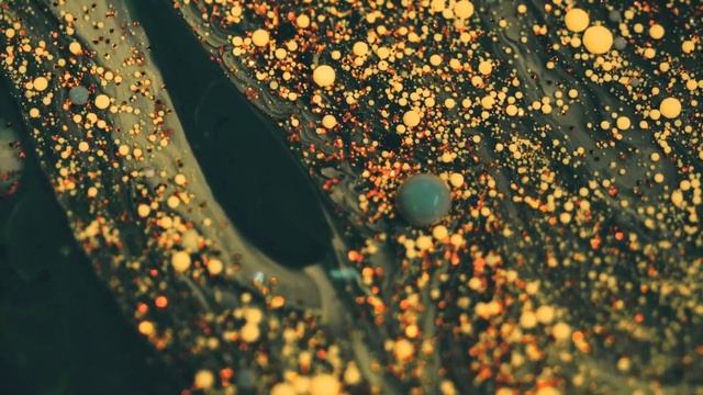 LIMINAL MINIMAL | SOLO UKULELE | DAVID JOHN ROCHE смотреть онлайн