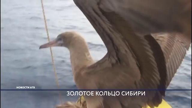 Бурятии попадет в "Золотое кольцо Сибири" смотреть онлайн