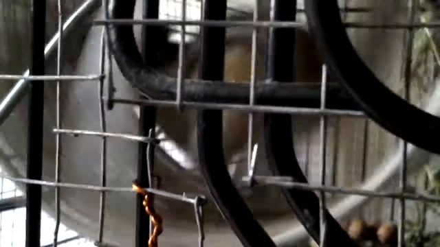 Мы снимаем бурундука по имени бурундя смотреть онлайн