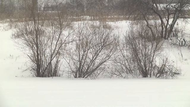 27.01.18 Депутаты хотят разрешить рыбную ловлю в заморных водоемах