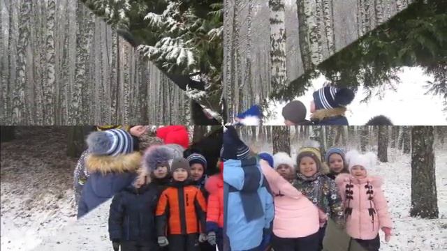 экскурсия в зимний парк