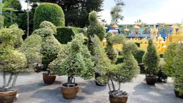 Тропический сад Нонг Нуч (Паттайя) смотреть онлайн