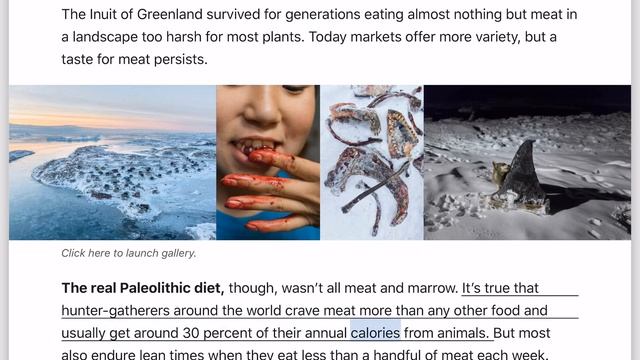 The Evolution of Diet смотреть онлайн