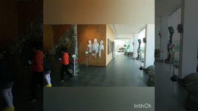 Музей из мусора в Баку смотреть онлайн