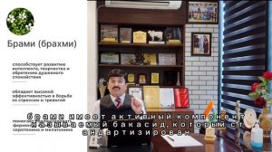 Производитель БАД Indo Medica доктор Нитин Агравал о НейроВеде