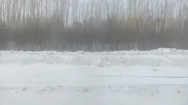 Станция Сокур-Платформа ферма на эд4м-0348