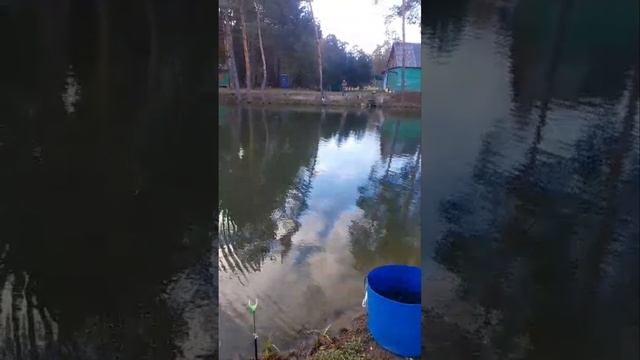 запуск. смотреть онлайн