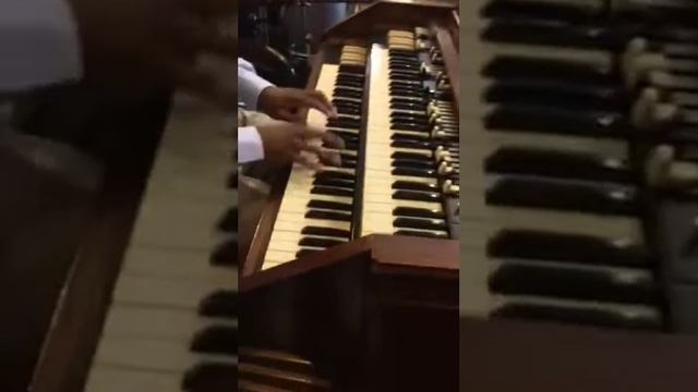 My fav Organist #2 смотреть онлайн
